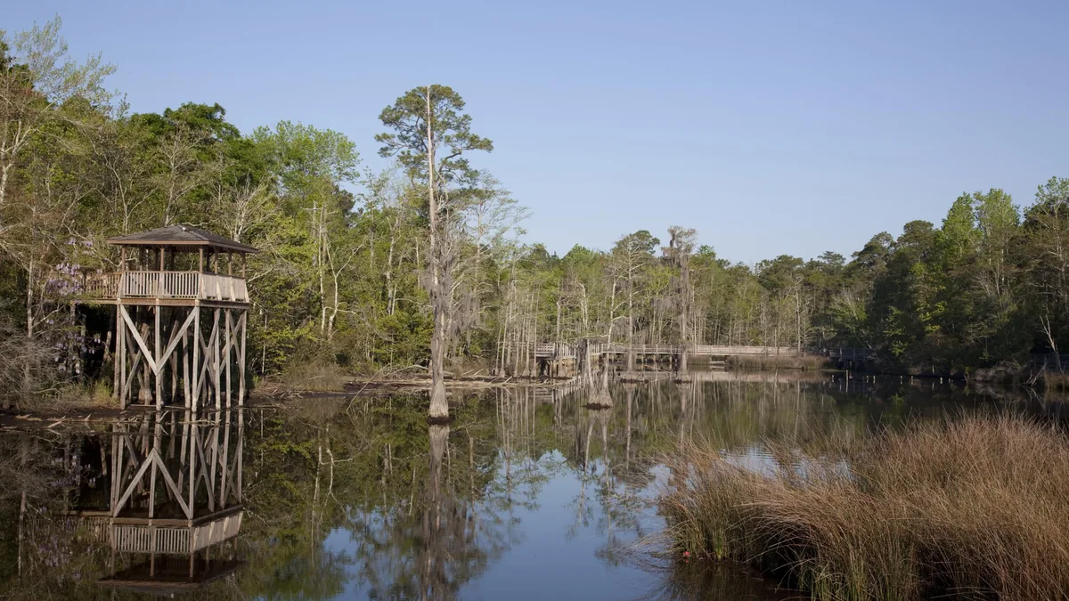 Land Clearing in Theodore, AL